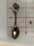 The Kapok Tree Florida Souvenir Spoon