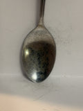Music City USA Nashville Tennessee Souvenir Spoon