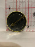 Watch Lions Telethon Button Pinback