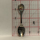 Arizona Road Runner Collectable Souvenir Spoon BG