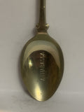 Athabasca Alberta Native Chief Souvenir Spoon