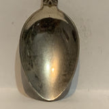 Radium Hot Springs Totem Pole BC Collectable Souvenir Spoon BH