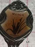 March Jonquil Flower Silver Plated  Souvenir Spoon
