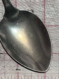 Bahamas Flag  Souvenir Spoon