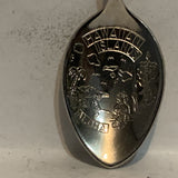 Hawaii Pineapple Blue Hawaiian Islands Aloha Collectable Souvenir Spoon BI