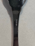 Fairmont Hot Springs BC Dogwood Flower  Souvenir Spoon