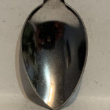 Alberta Wild Rose Collectable Souvenir Spoon BI