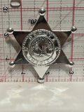 Deputy Sheriff Star Button Pinback