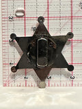 Deputy Sheriff Star Button Pinback