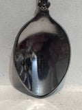 Texas Armidillo Cowboy California  Souvenir Spoon