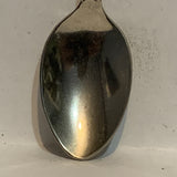 Tucson Desert Cactus Arizona Collectable Souvenir Spoon BJ