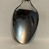 Florida Seahorse Collectable Souvenir Spoon BJ