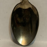 Arizona Cactus Collectable Souvenir Spoon BJ