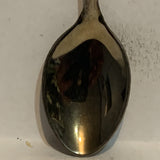 Colorado Mountains Collectable Souvenir Spoon BJ