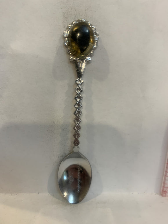 Radium Hot Springs BC Canada Bear Souvenir Spoon