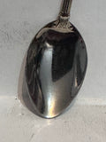 Winnipeg Manitoba Maple Leaf Beaver  Souvenir Spoon