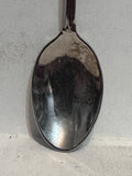 Minnesota Land of 10 000 Lakes    Souvenir Spoon