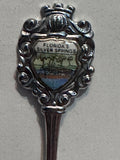 Florida's Silver Springs  Souvenir Spoon