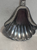 Florida's Silver Springs  Souvenir Spoon
