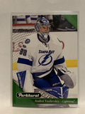 #206 Andrei Vasilevskiy Tampa Bay Lightning 2017-18 Parkhurst Hockey Card