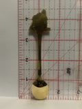 Rosebud Theatre Alberta Souvenir Spoon