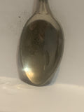 Arizona Cactus Souvenir Spoon