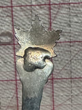 Winnipeg Manitoba Maple Leaf  Souvenir Spoon