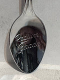 Radium British Columbia Moose Canada  Souvenir Spoon