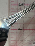 Radium British Columbia Moose Canada  Souvenir Spoon