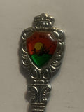 New Mexico Road Runner Souvenir Spoon