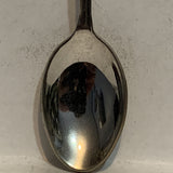 Minnesota Land of 10 000 Lakes Duck Collectable Souvenir Spoon BO