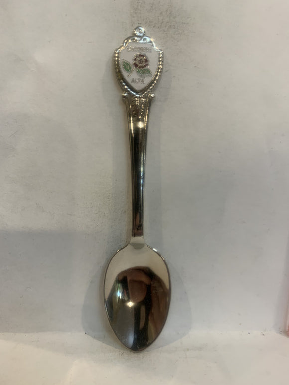 Lacombe Alta Alberta Wild ose Souvenir Spoon