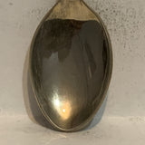 South Dakota Pheasant Collectable Souvenir Spoon BP