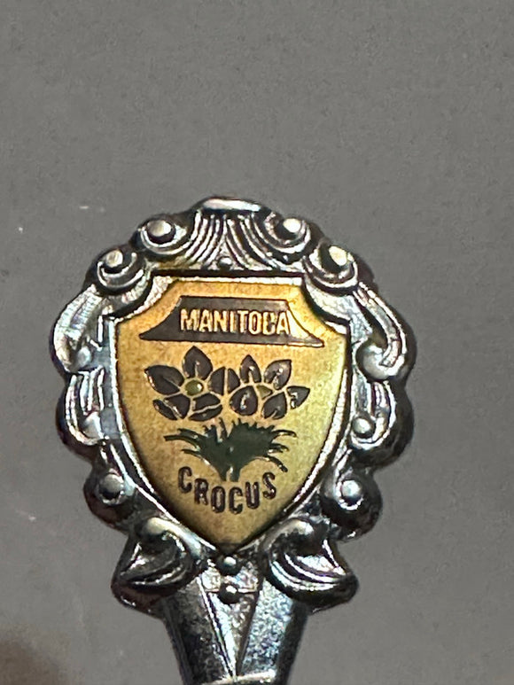 Manitoba Crocus Flower  Souvenir Spoon