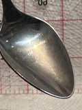 Saskatchewan Prairie Lily  Souvenir Spoon