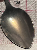 Agawa Canyon Ontario  Souvenir Spoon