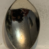 Provost Alberta Wild Rose Collectable Souvenir Spoon BQ