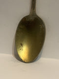 Purple Flowers Souvenir Spoon