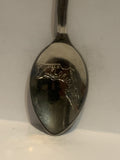 Florida sand Dollar Palm Tree Flamingo Souvenir Spoon