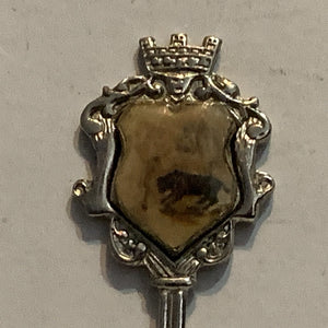 Mexico Bull Fighting Collectable Souvenir Spoon BR