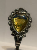 Arctic Red River Northwest Territories Mountain Avens Souvenir Spoon