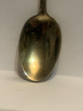 Teaxas Souvenir Spoon