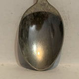 Palm Springs California Palm Trees Collectable Souvenir Spoon BT