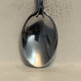 Miette Hot Springs Alberta Collectable Souvenir Spoon BT