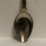 Medicine Hat Alta Alberta Wild Rose Collectable Souvenir Spoon EA