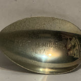 Fort Mcmrray Alta Alberta Coat of Arms Collectable Souvenir Spoon EB