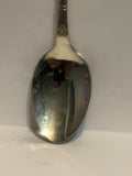 Switzerland Flag Souvenir Spoon