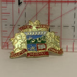 City of Red Deer Coat of Arms Alberta Lapel Hat Pin