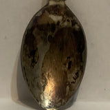 Robson Valley Mcbride BC Collectable Souvenir Spoon EB