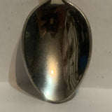 Olden Briksdalsbreen Train Mountains Waterfall Collectable Souvenir Spoon EB